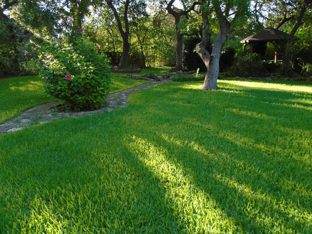 Acorn Bed And Breakfast Boerne Dış mekan fotoğraf